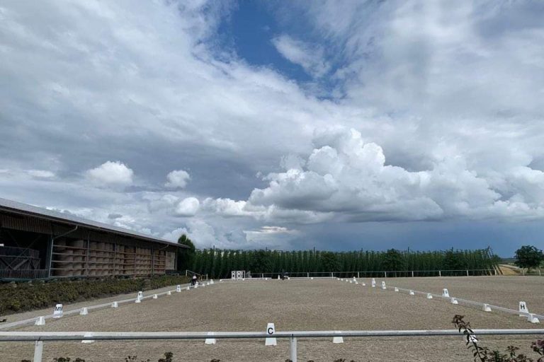 Reitplatz Reitanlage Ried Mainburg