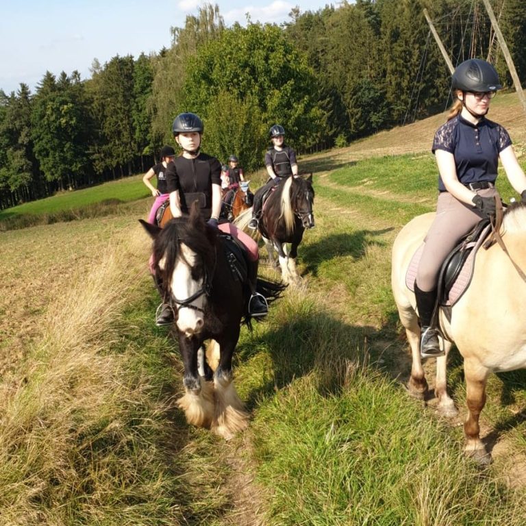 Ausritte bei der Reitschule Holledau