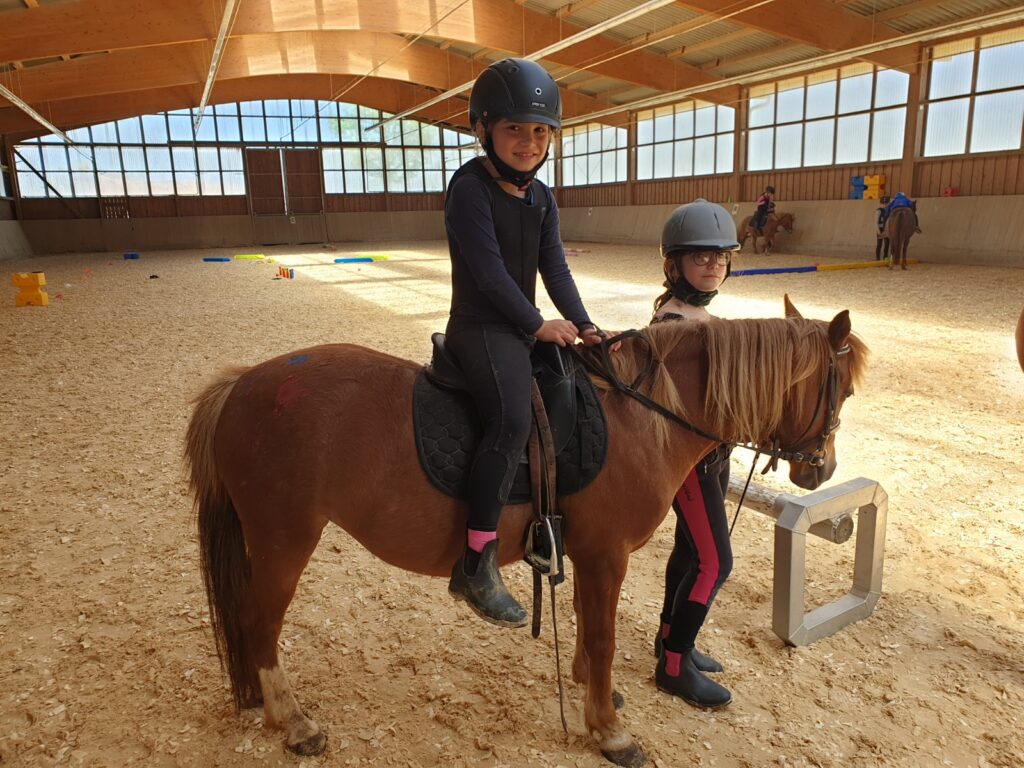 Aktuelle Tageskurse im März in der Reitschule Holledau
