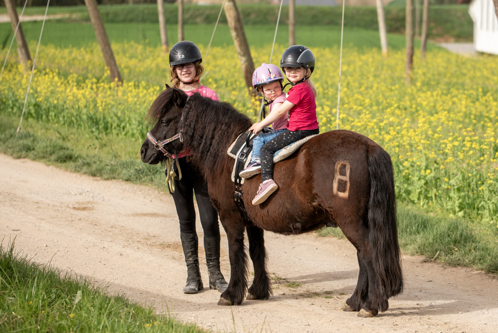 Reitunterricht in Mainburg