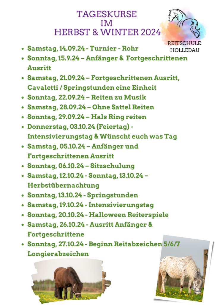 Unsere aktuellen Tageskurse im Herbst 2024